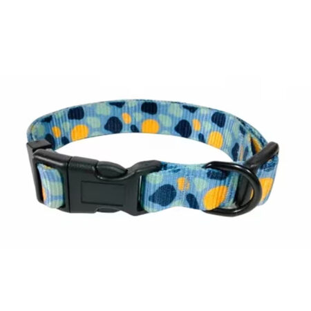 collar azul amarillo